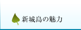 新城島の魅力